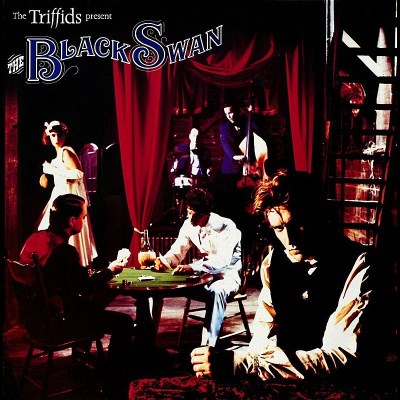 TRIFFIDS/BLACK SWAN